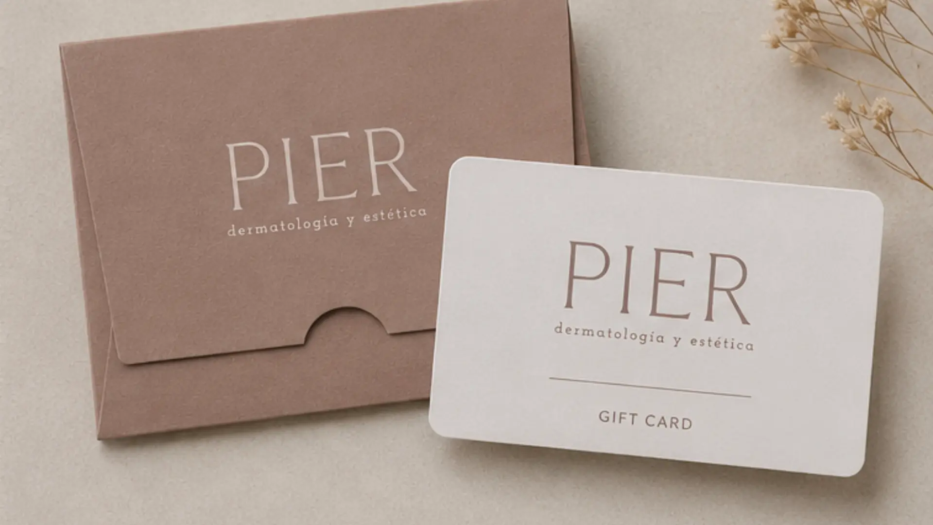 Vista previa de la interfaz del sitio web de PIER en un dispositivo de escritorio