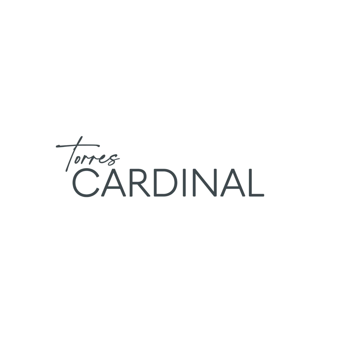 Representación visual de la identidad de marca de TORRES CARDINAL en versión móvil
