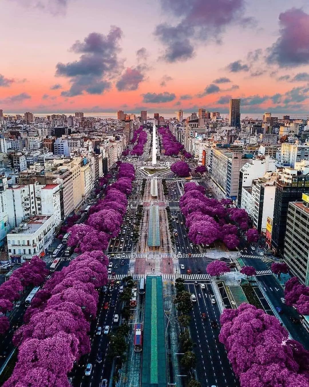 Registro visual 3 de VISIT BUENOS AIRES